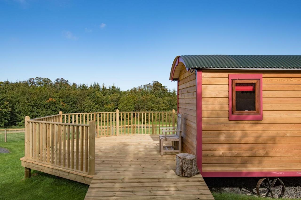 Foxglove Shepherd'S Hut Berwick Upon Tweed Dış mekan fotoğraf